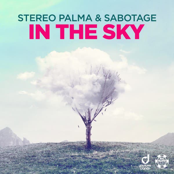 In the Sky - Radio Edit cover art