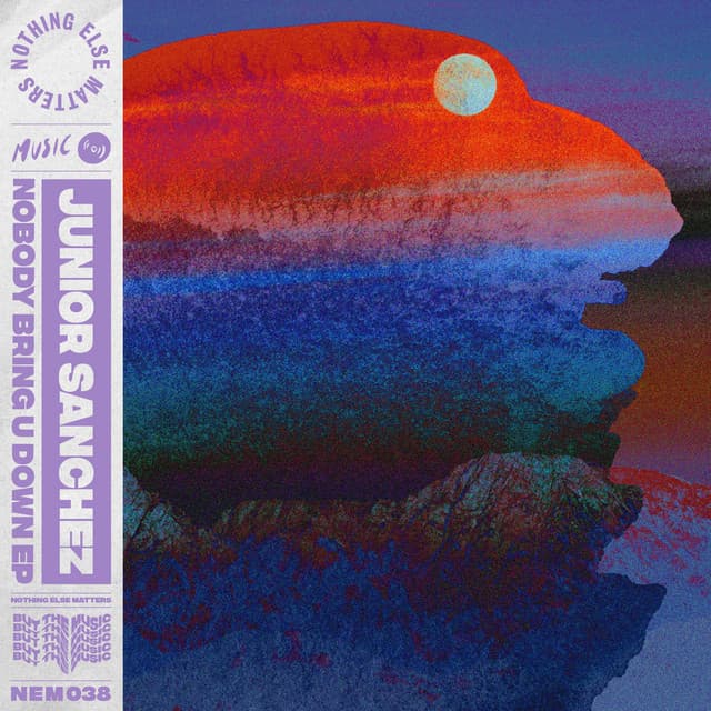 Nobody Bring U Down cover art