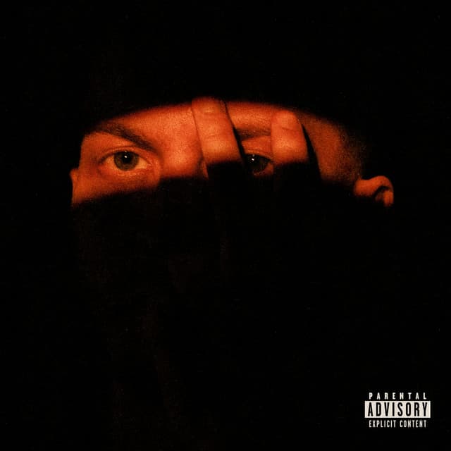 Te văd în trecut cover art