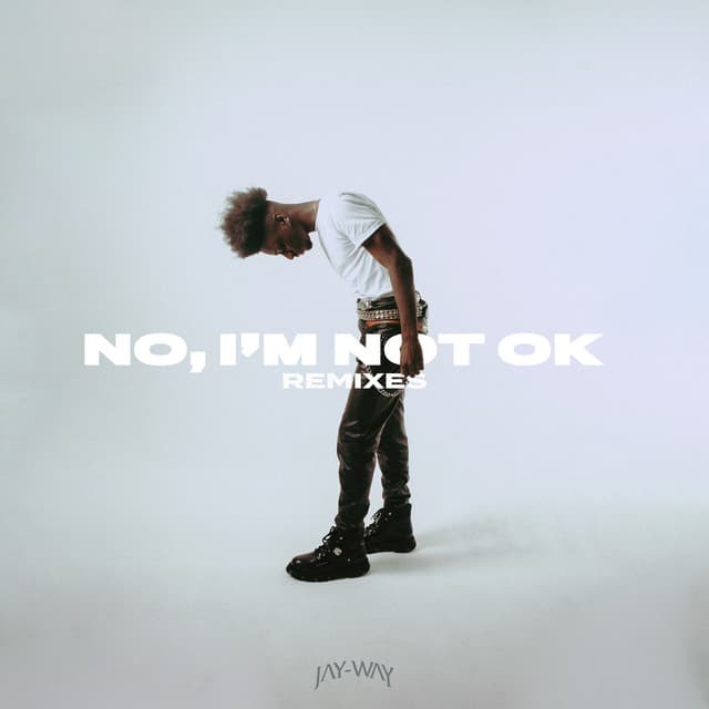 No, I'm Not Ok (Remixes) cover art
