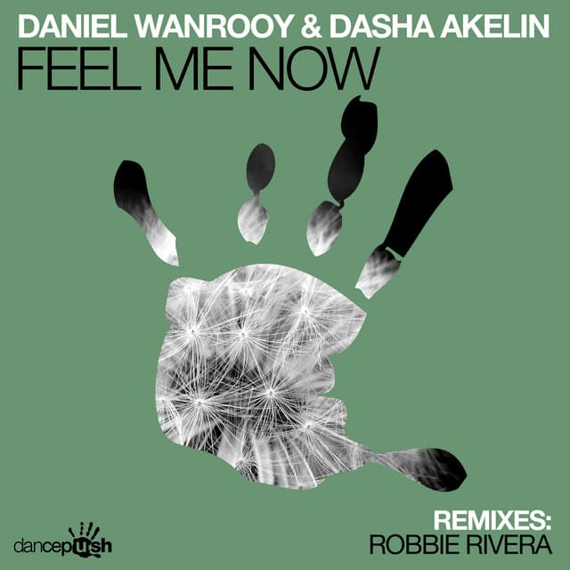 Feel Me Now - Robbie Rivera Radio Edit cover art