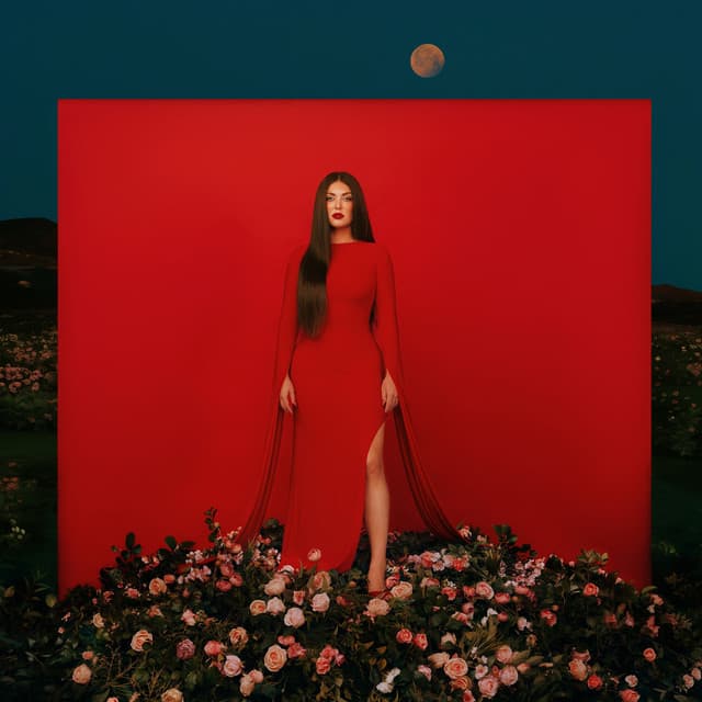 Pain and Paradise cover art
