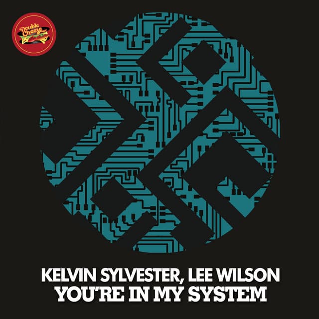 You're In My System - Original Mix cover art