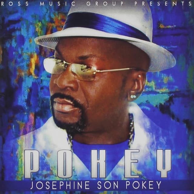 They Call Me Pokey (Remix) cover art