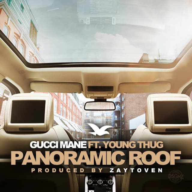 Panoramic Roof cover art