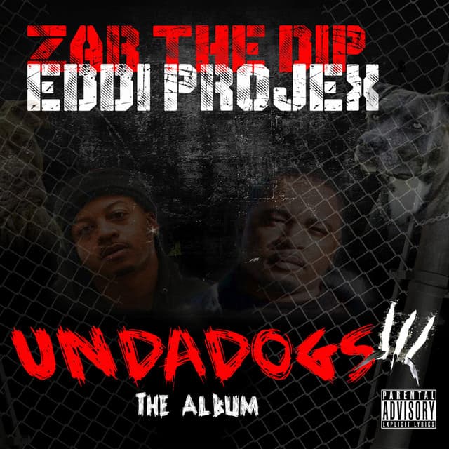 Lil Niggas cover art