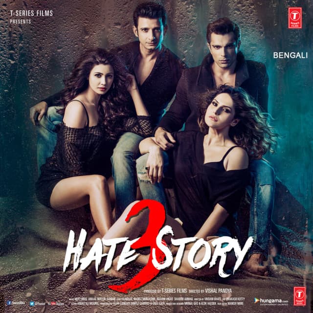 Hate Story 3 cover art