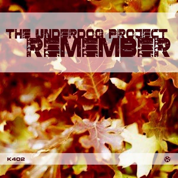 Remember cover art