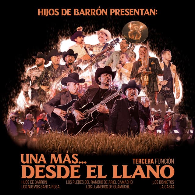 Toro Encartado - En Vivo cover art