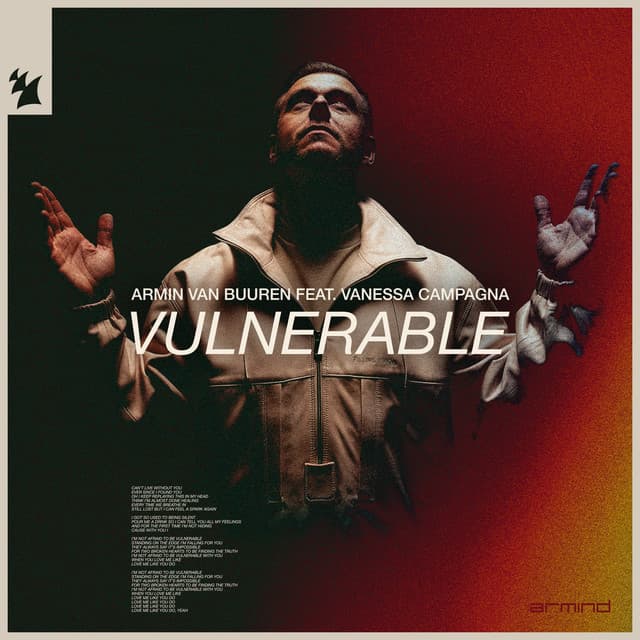 Vulnerable cover art