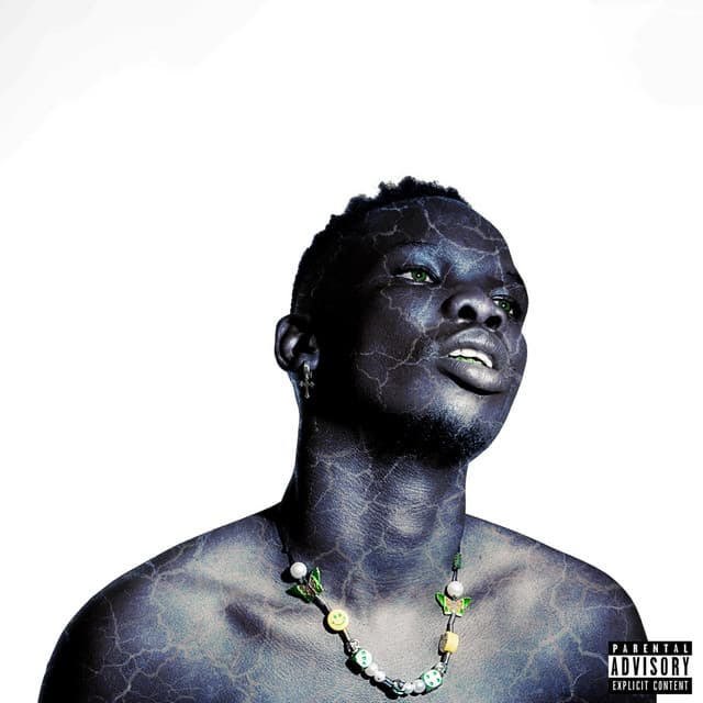 Stripes (feat. Flvme) cover art