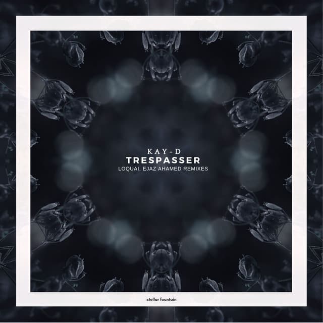 Trespasser - Ejaz Ahamed Remix cover art