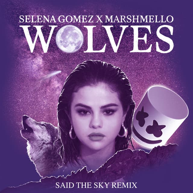 Wolves - Said The Sky Remix cover art