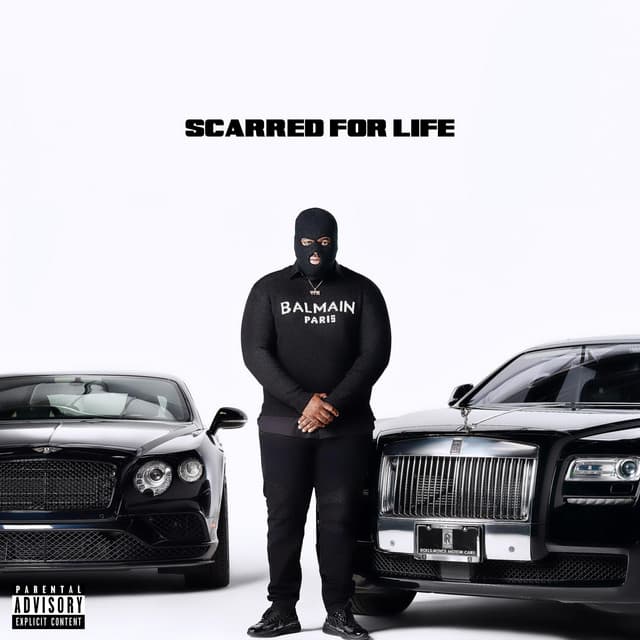 BRAND AMBASSADOR cover art