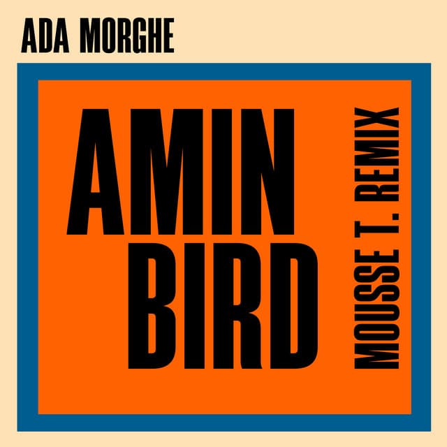 Amin Bird (Mousse T. Remix) cover art