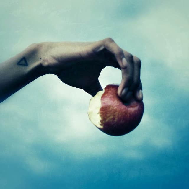 Pelo cover art
