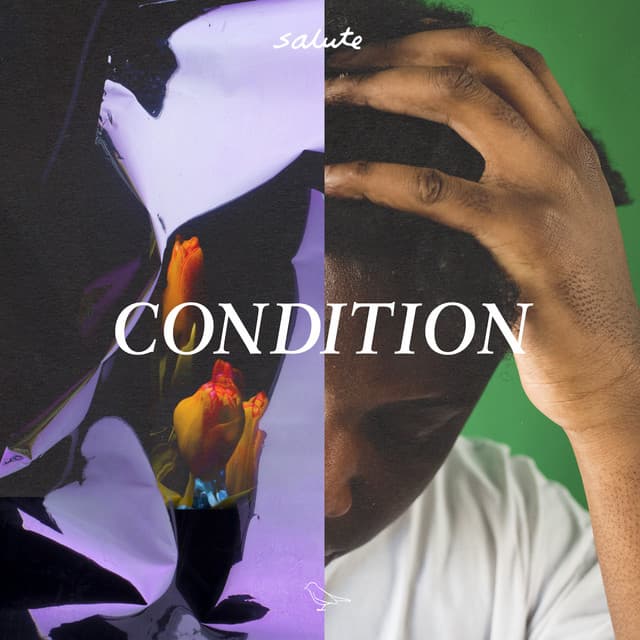 Condition cover art