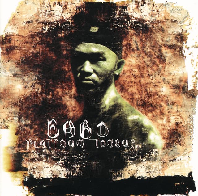 PLATINUM TONGUE cover art