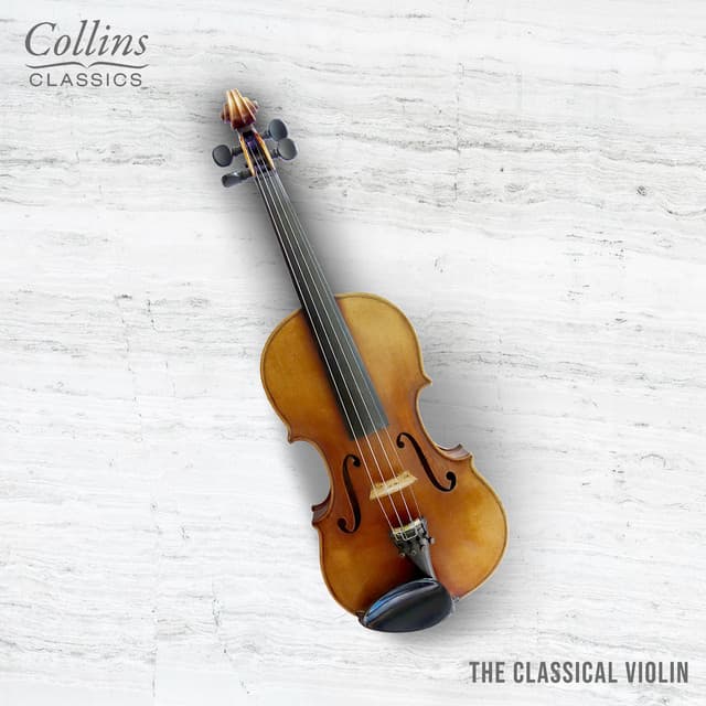 Violin Sonata in G Major: I. Allegretto cover art