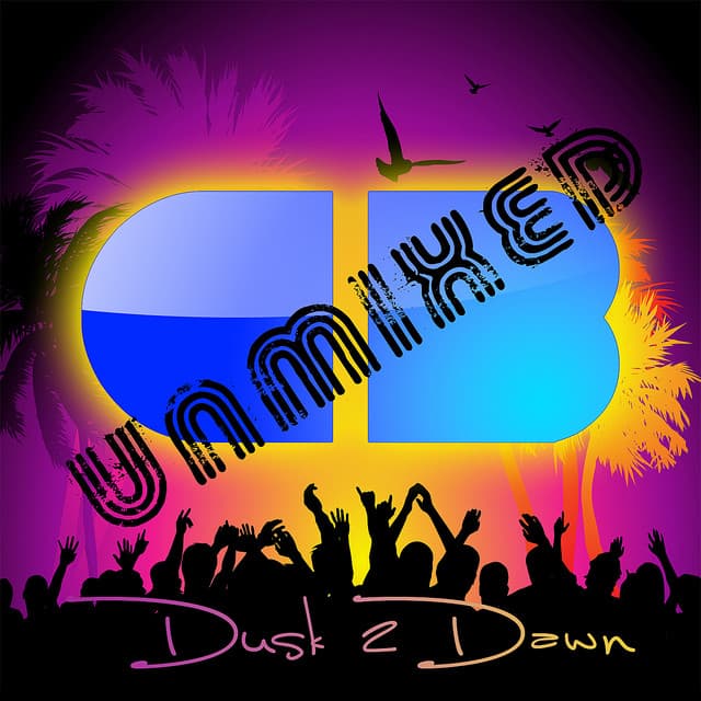DUSK 2 DAWN (Unmixed) cover art