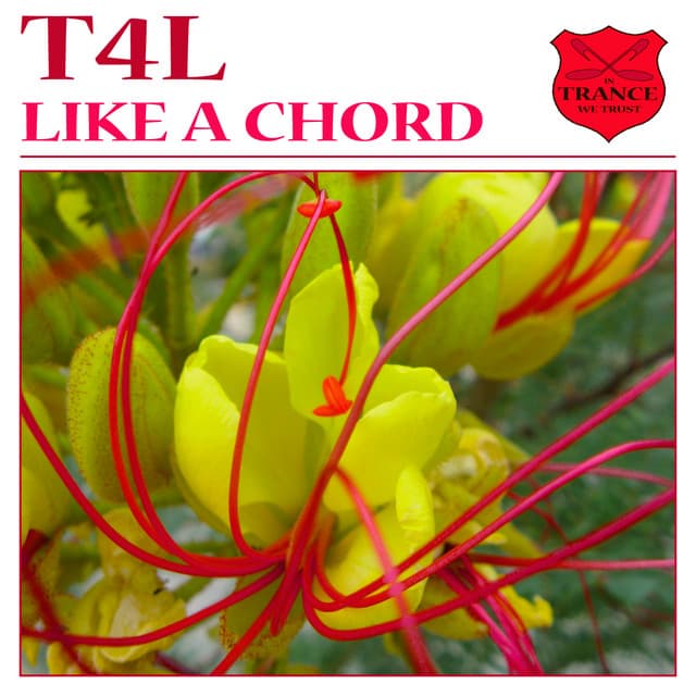 Like a chord - Paul Ercossa Remix cover art