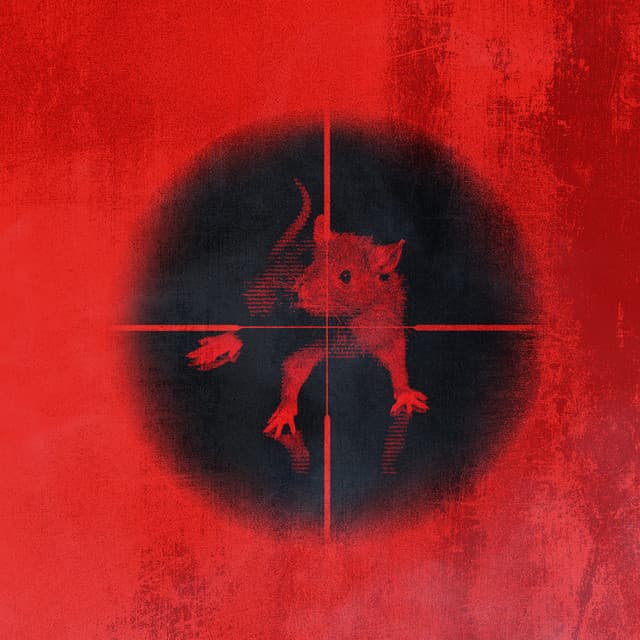 Killing The Rats cover art