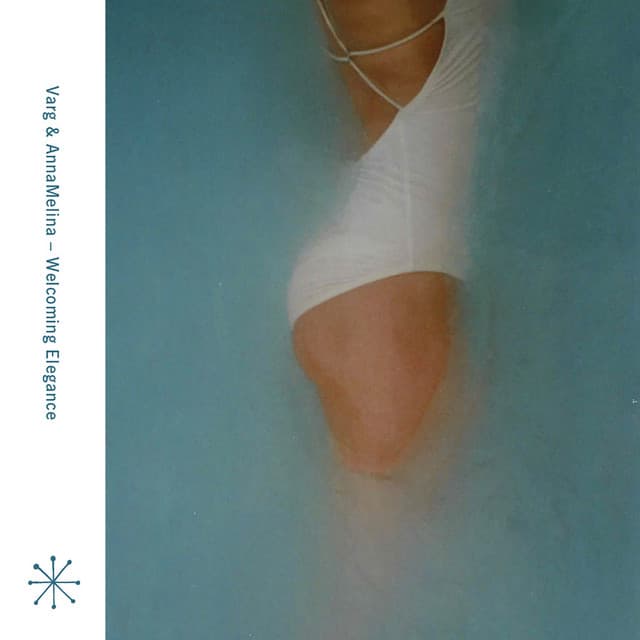 Ice Bricks (I'm Not Buying Her a Fucking Pair of Shoes, I Bought Her a Fucking Career) cover art