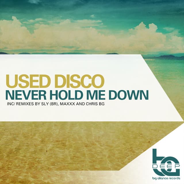 Never Hold Me Down - Chris BG Remix cover art