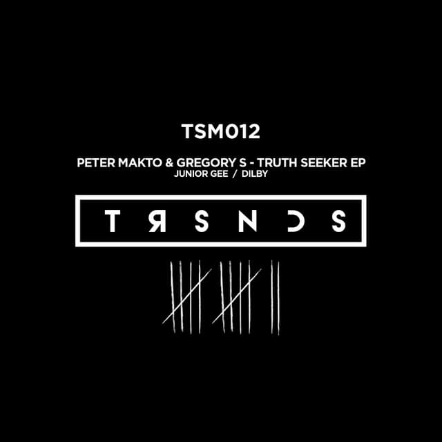 Truth Seeker - Junior Gee Remix cover art