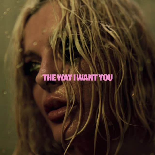 The Way I Want You cover art