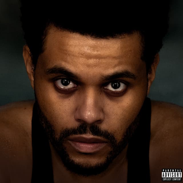 I Can't Fucking Sing cover art