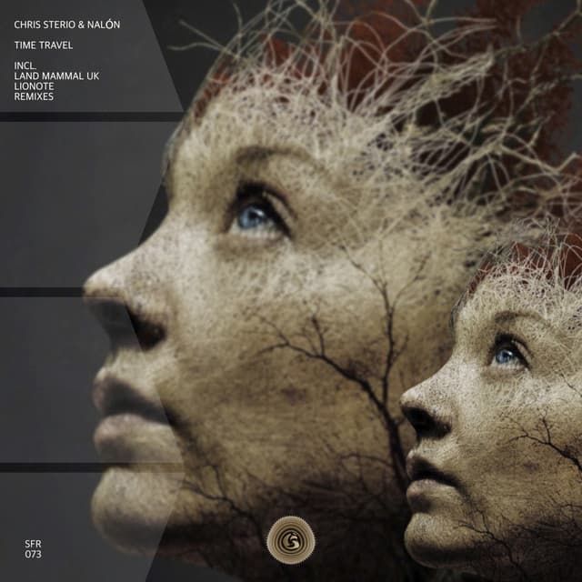 Time Travel cover art