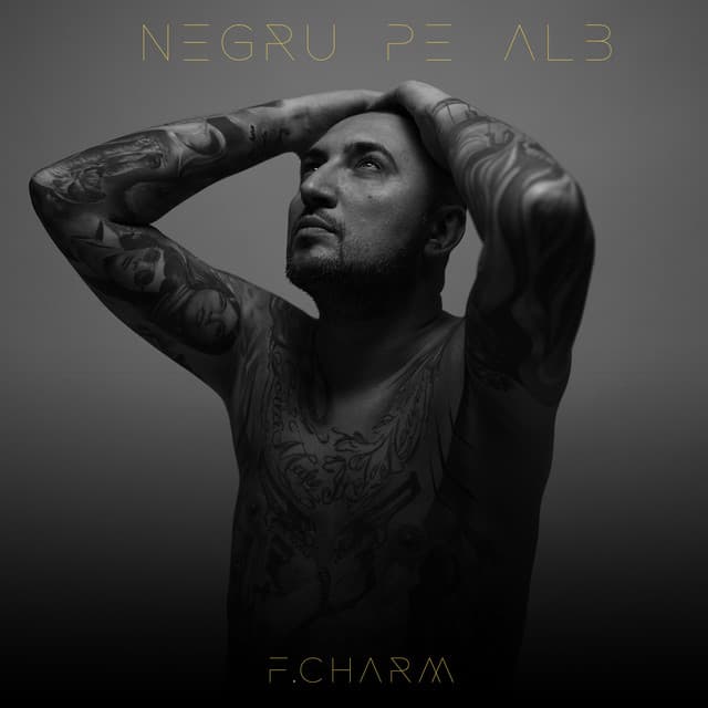 Negru Pe Alb cover art
