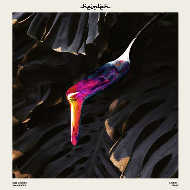 Modularity Theorem - Xique-Xique Remix cover art