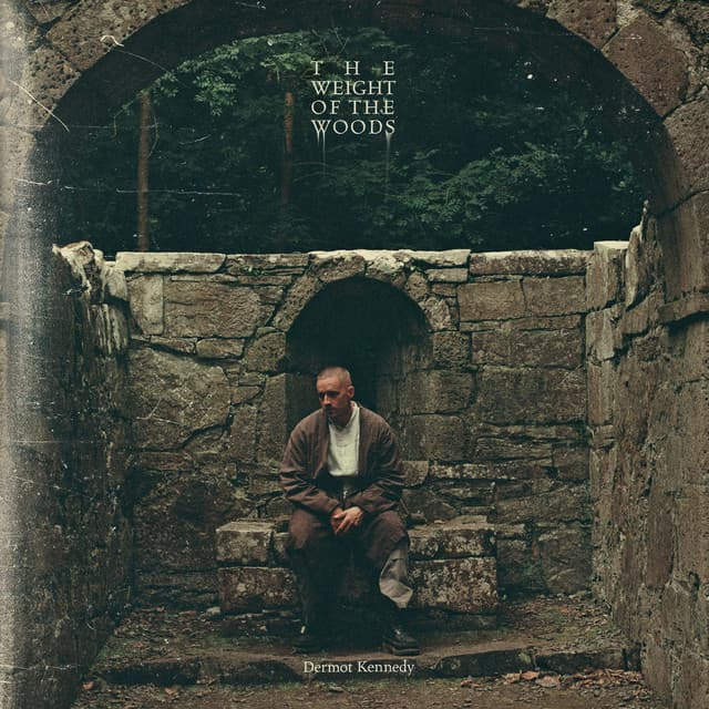 The Weight of the Woods cover art