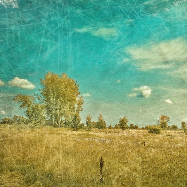 I Gave Everything cover art