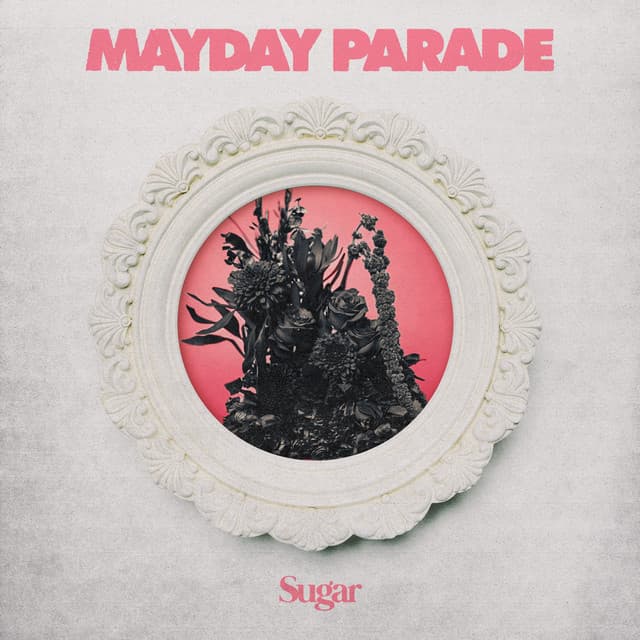 Sugar cover art