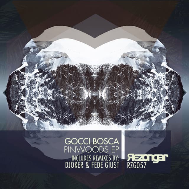 Pinwoods - Orquesm Remix cover art
