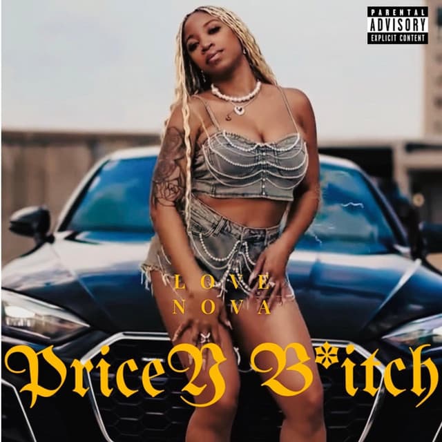 Pricey Bitch cover art