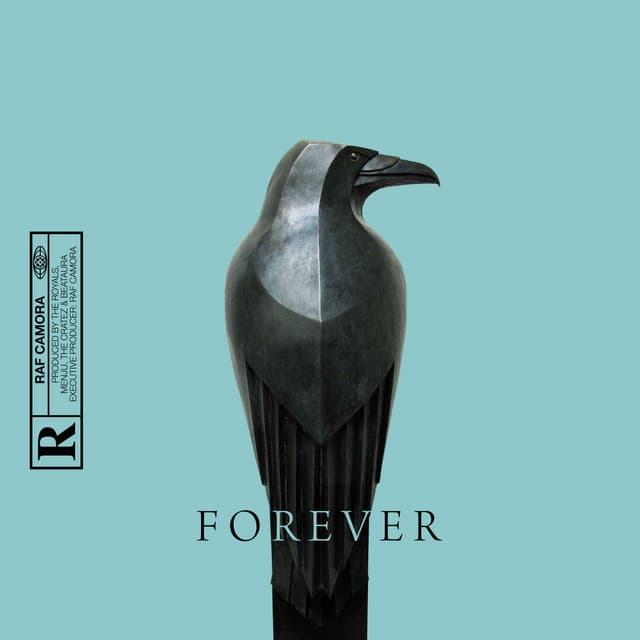 CUT cover art