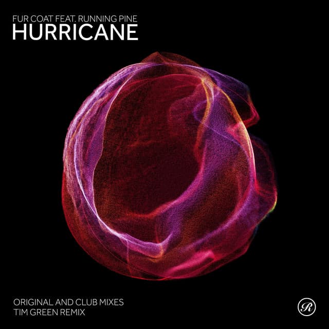 Hurricane - Tim Green Remix cover art