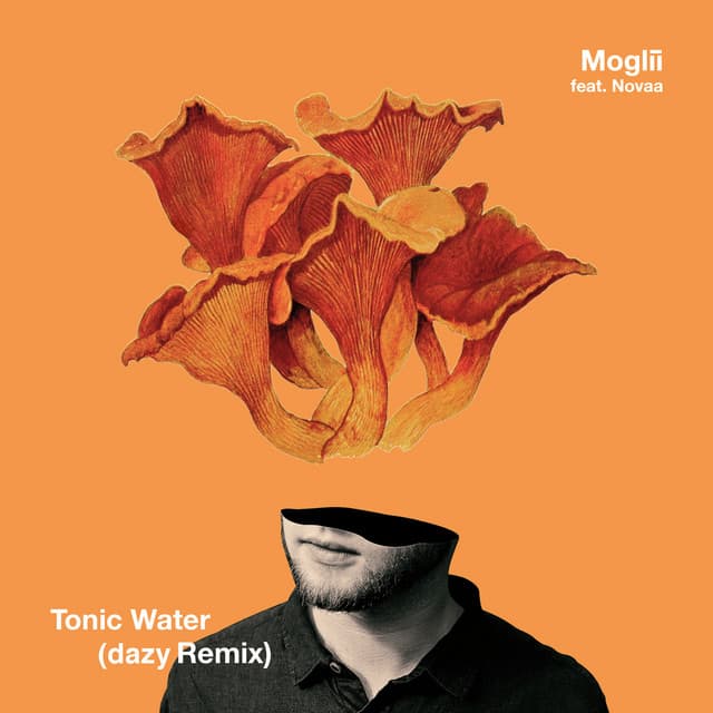 Tonic Water - dazy Remix cover art