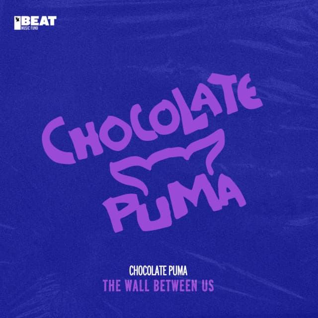 The Wall Between Us cover art