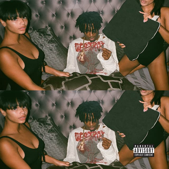 Magnolia cover art