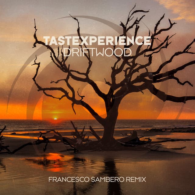 Driftwood - Francesco Sambero Remix cover art