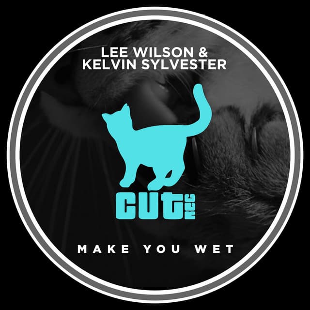 Make You Wet cover art