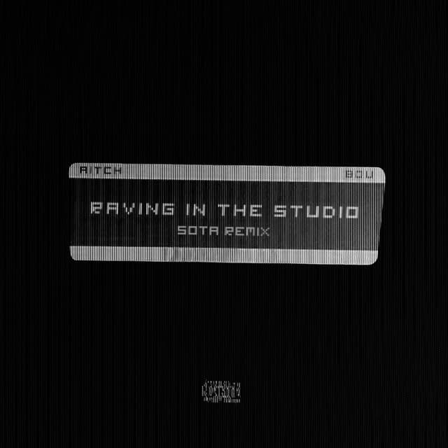 Raving In The Studio (SOTA Remix) cover art
