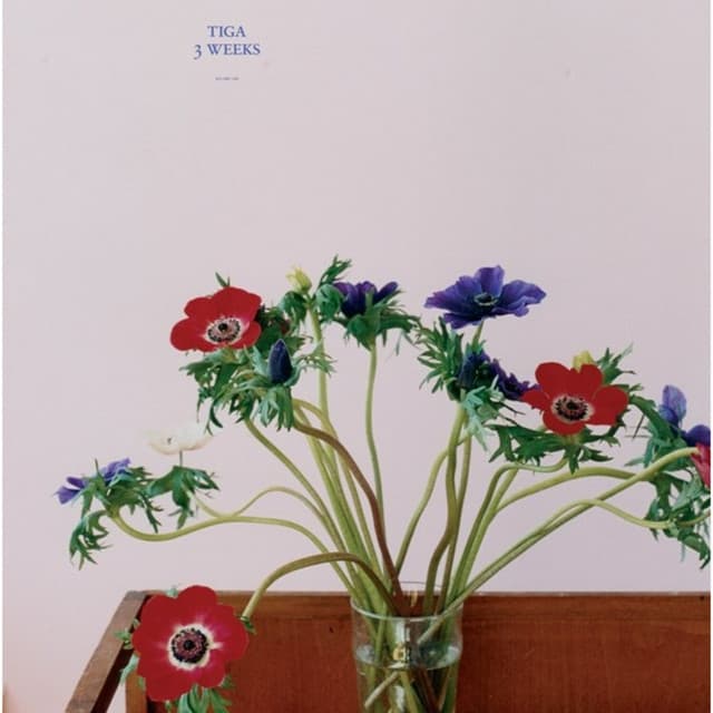 3 Weeks - Booka Shade Dub Mix cover art