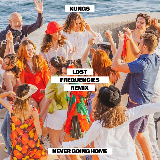 Never Going Home - Lost Frequencies Remix cover art