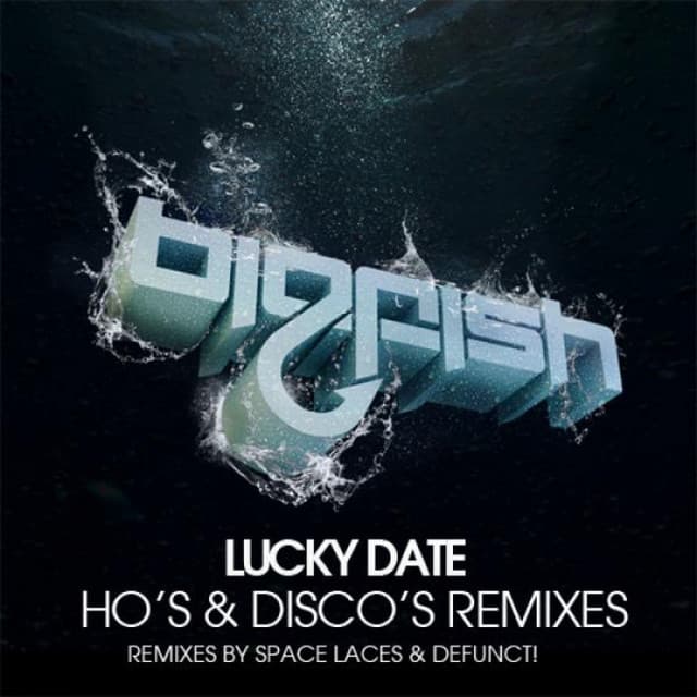 Ho's and Disco's - Defunct! Remix cover art